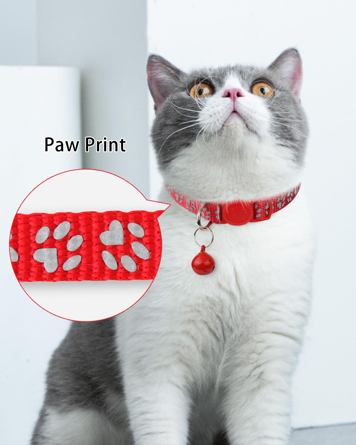Personalized Cat Collar with Name Tag & Bell X990
