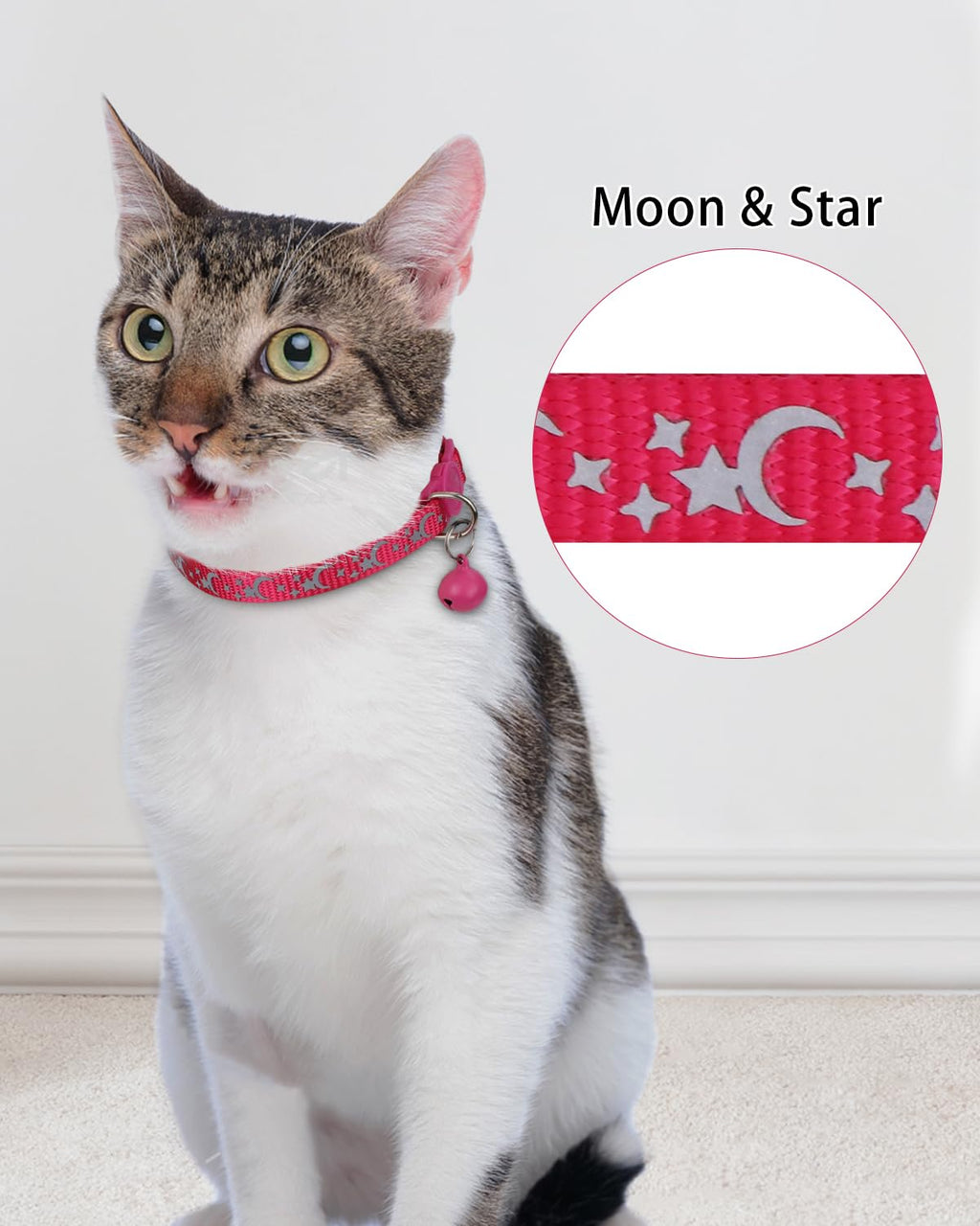 Personalized Cat Collar with Name Tag & Bell X990