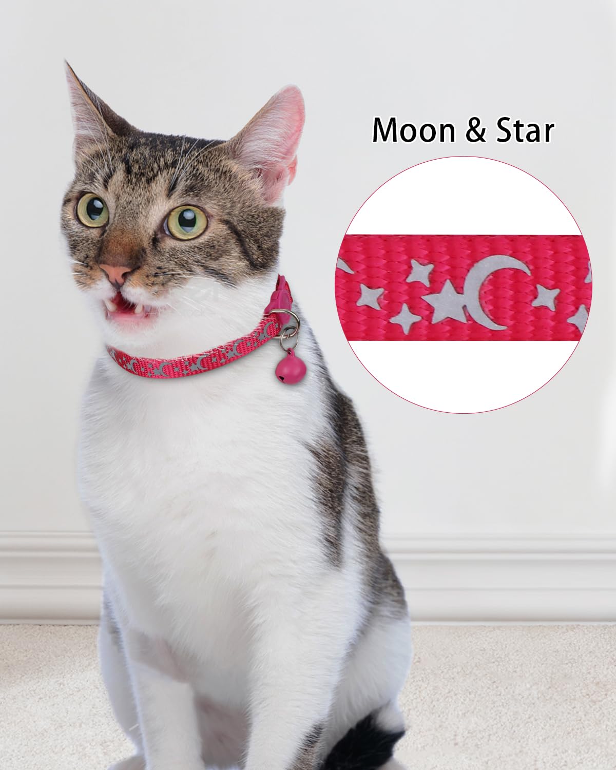 Personalized Cat Collar with Name Tag & Bell X990