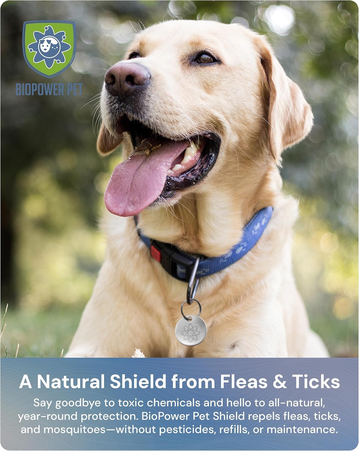 Natural Flea & Tick Repellent Collar Tag for Dogs & Cats Stainless Steel 2 Pack L11848