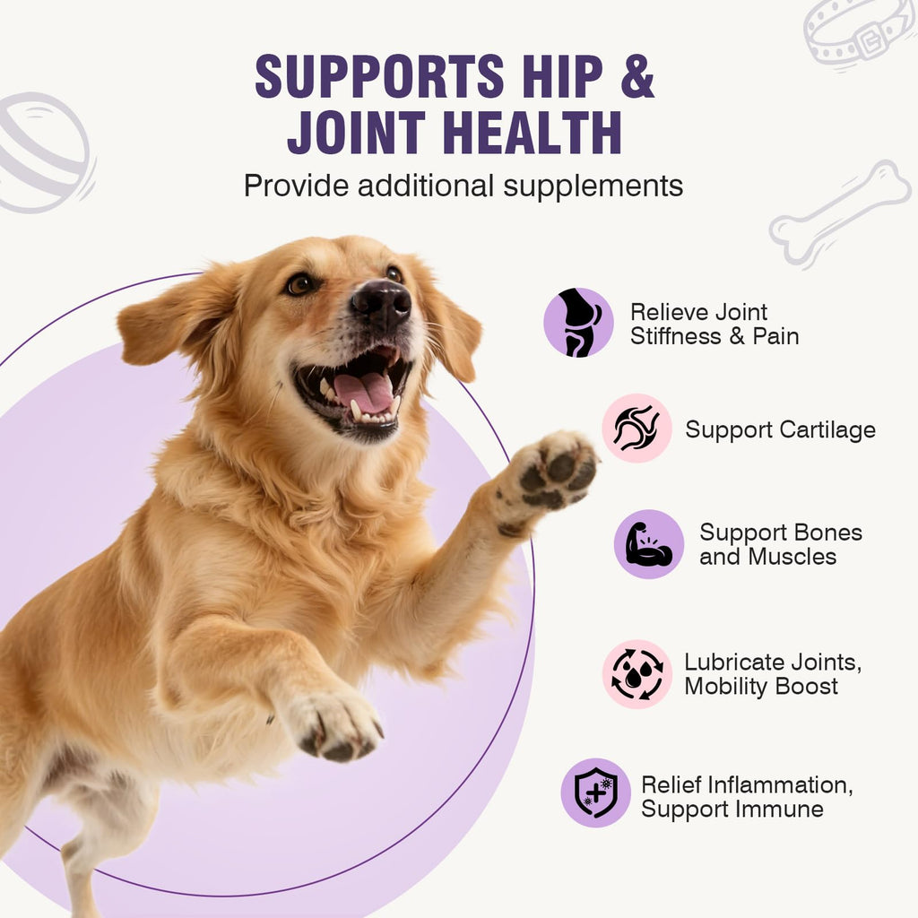 Glucosamine Chondroitin MSM Joint Supplement for Dogs 200 ct U953
