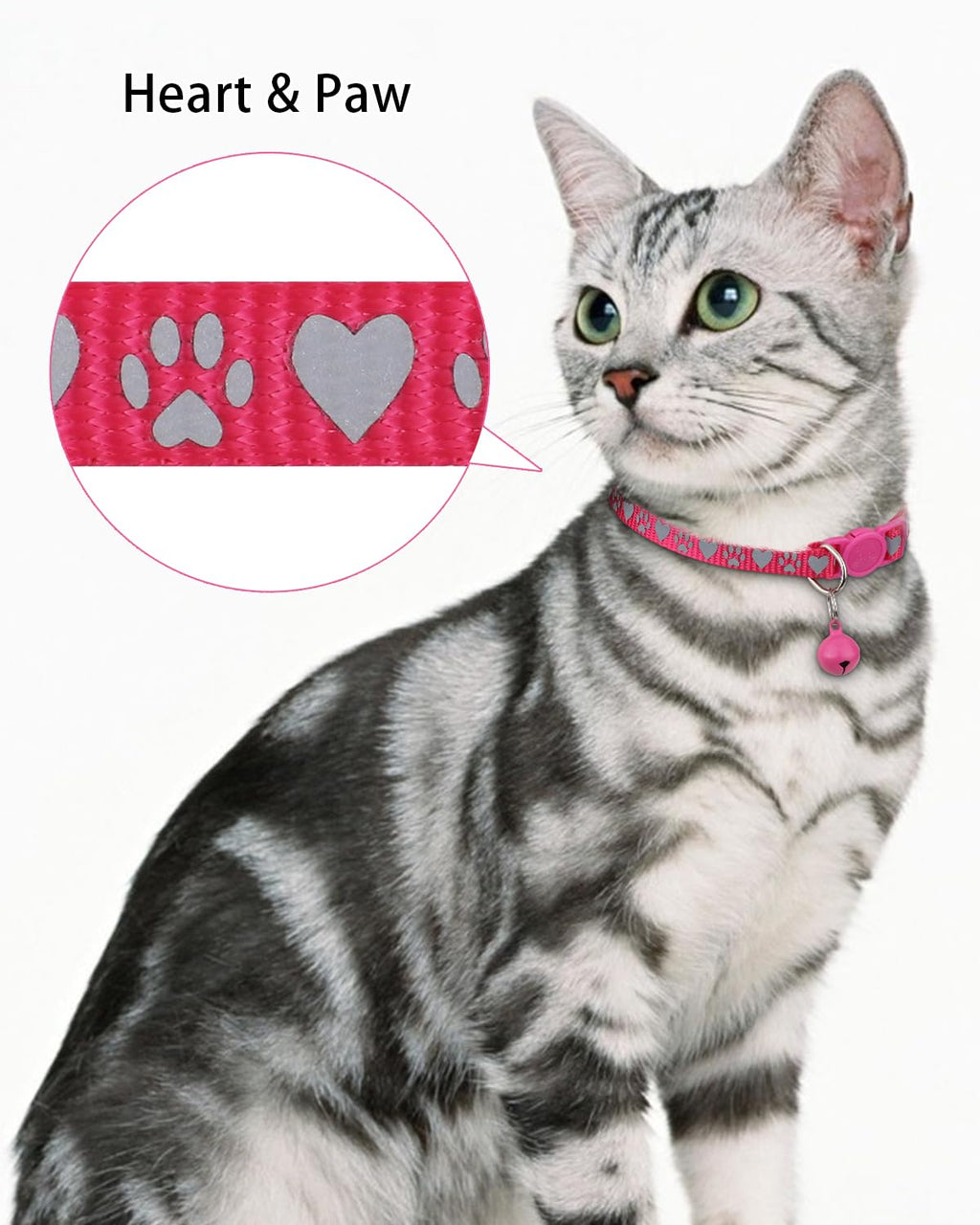 Personalized Cat Collar with Name Tag & Bell X990
