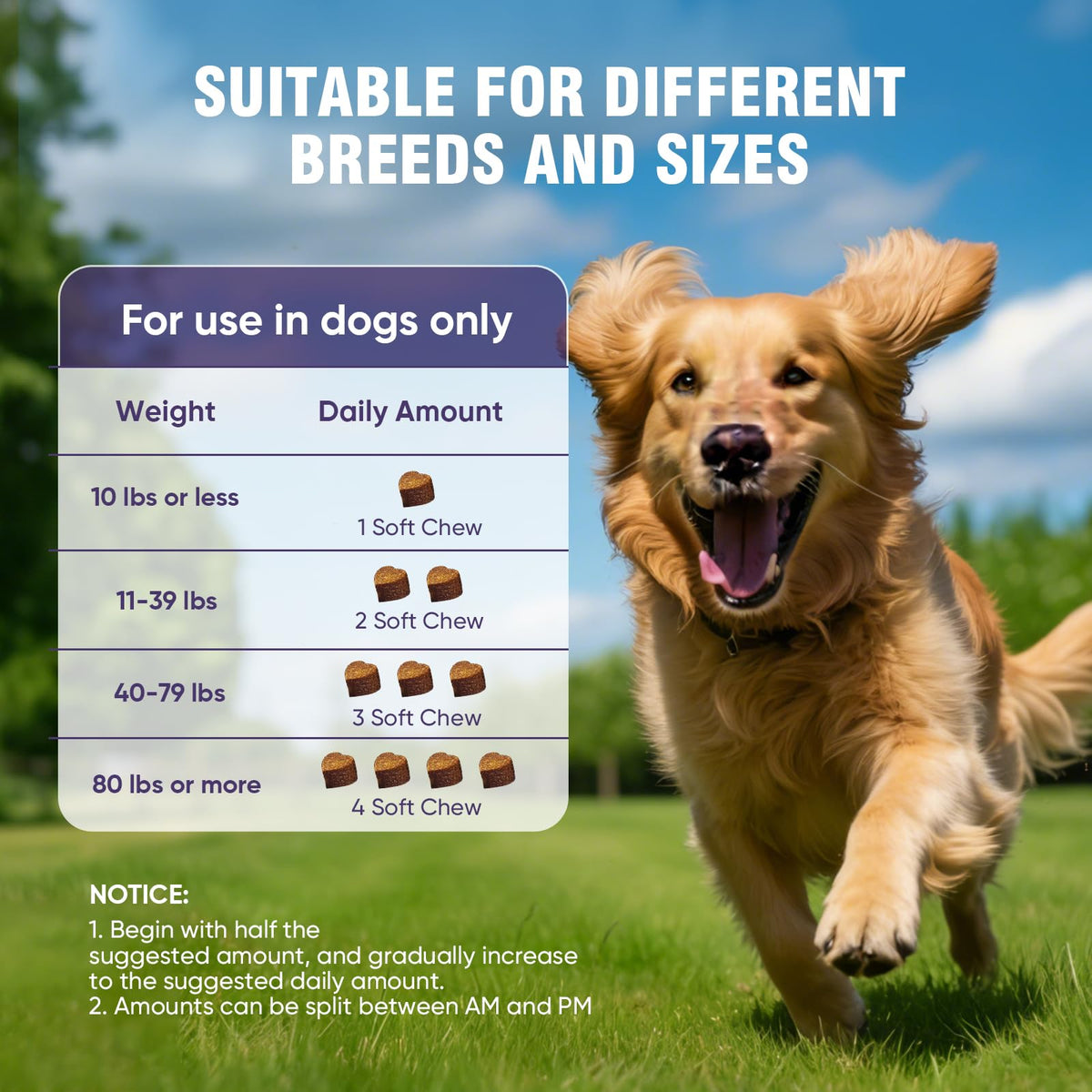 Glucosamine Chondroitin MSM Joint Supplement for Dogs 200 ct U953