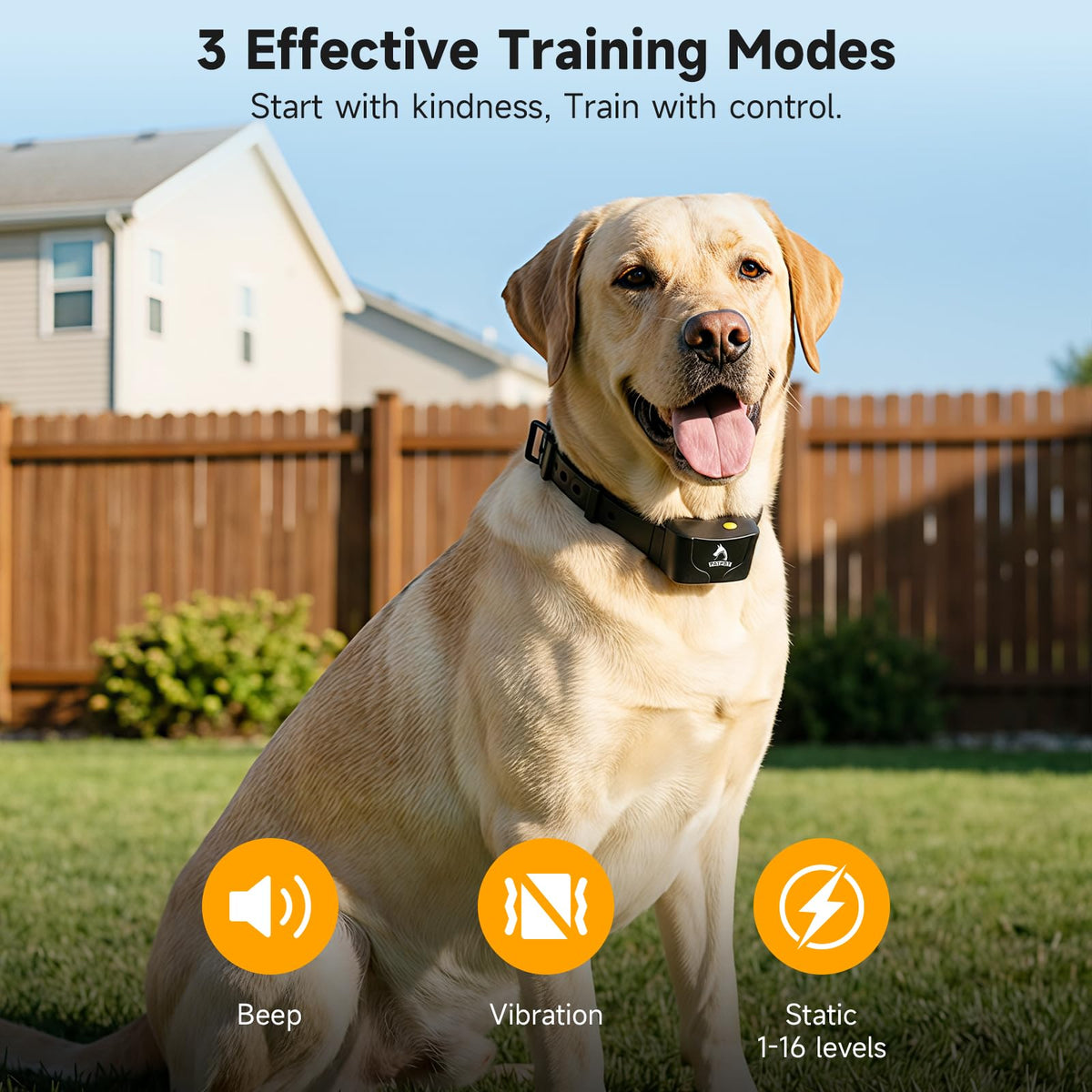 Dog Training Collar IPX7 Waterproof F9175