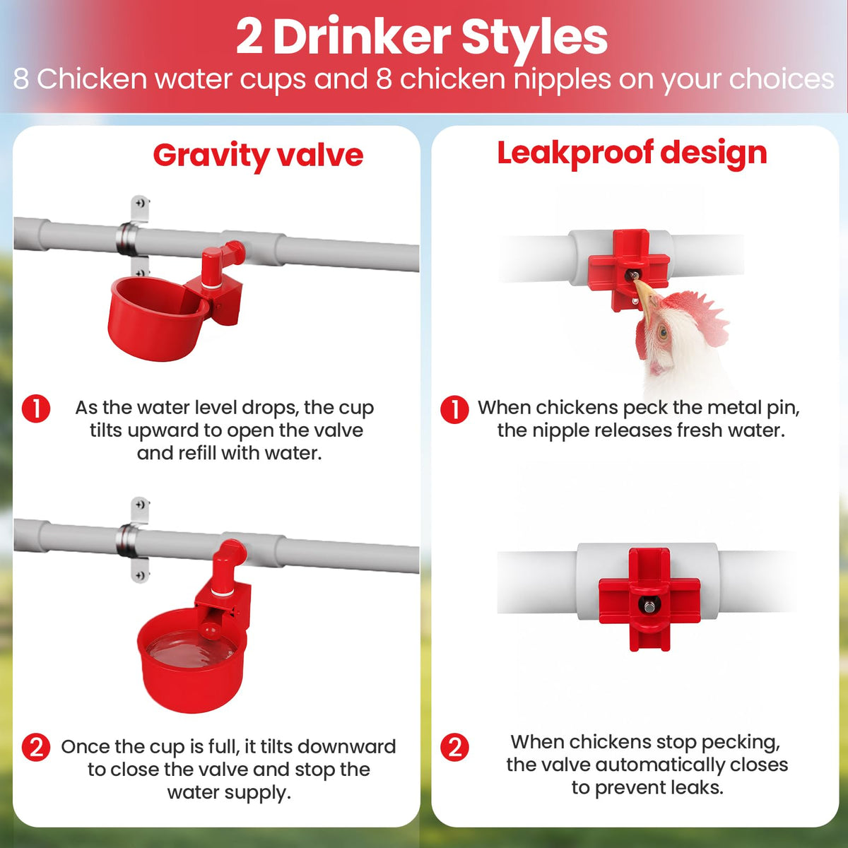 Automatic Chicken Waterer System with 8 Drinking Cups C5022