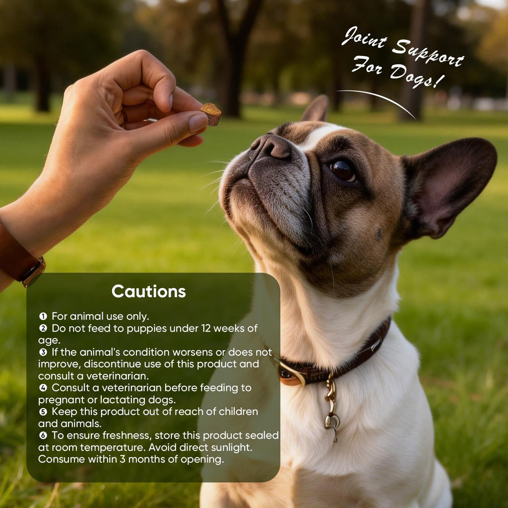 Glucosamine Chondroitin MSM Joint Supplement for Dogs 200 ct U953