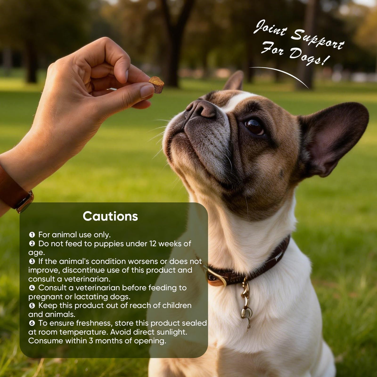 Glucosamine Chondroitin MSM Joint Supplement for Dogs 200 ct U953