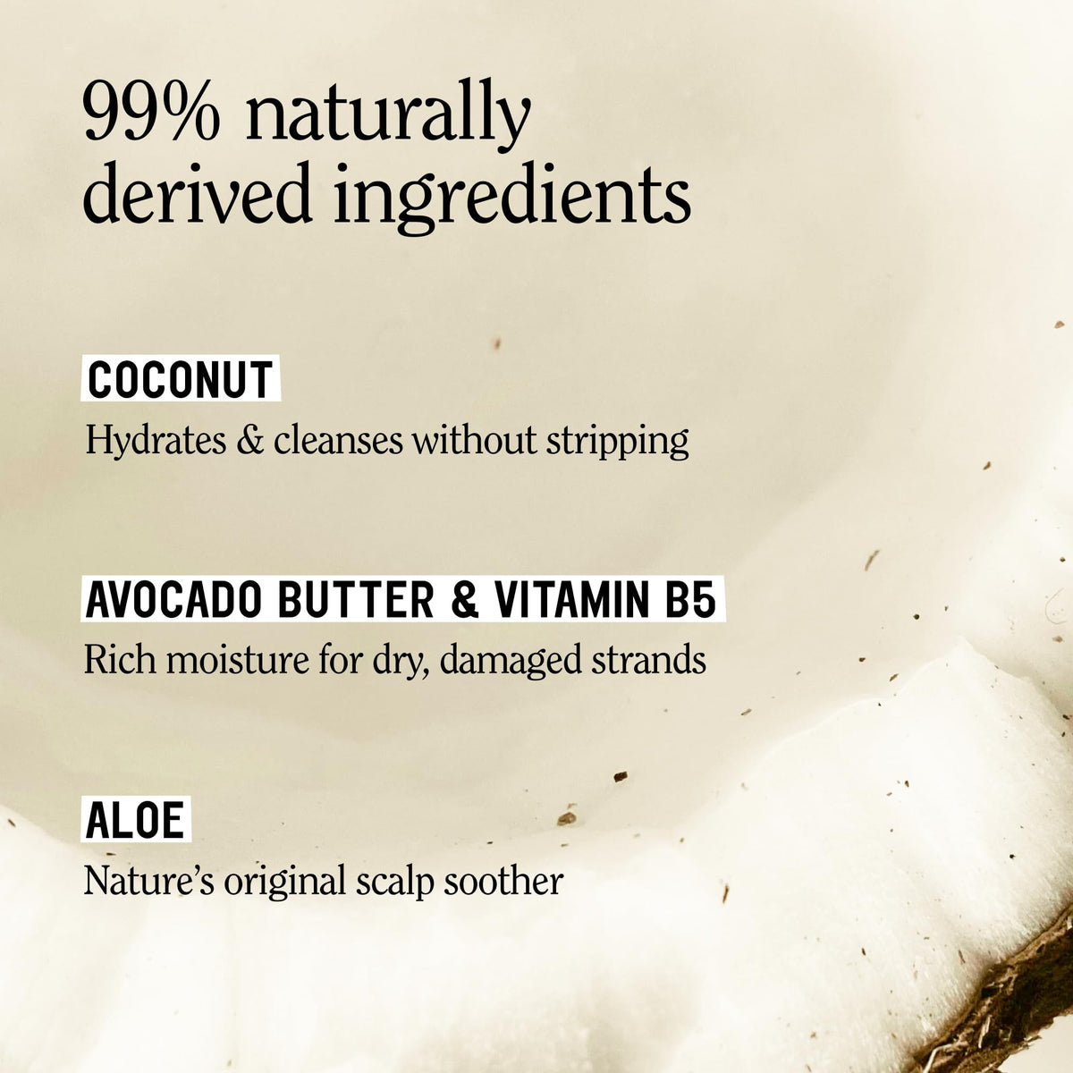 Toasted Coconut Shampoo Conditioner Set, Vegan, Sulfate Free, 20 Fl Oz C4765