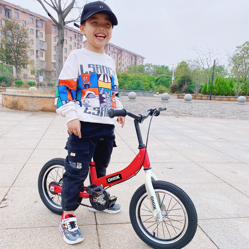 2 in 1 Balance Bike with Pedal Kit, Training Wheels, Brakes R66768
