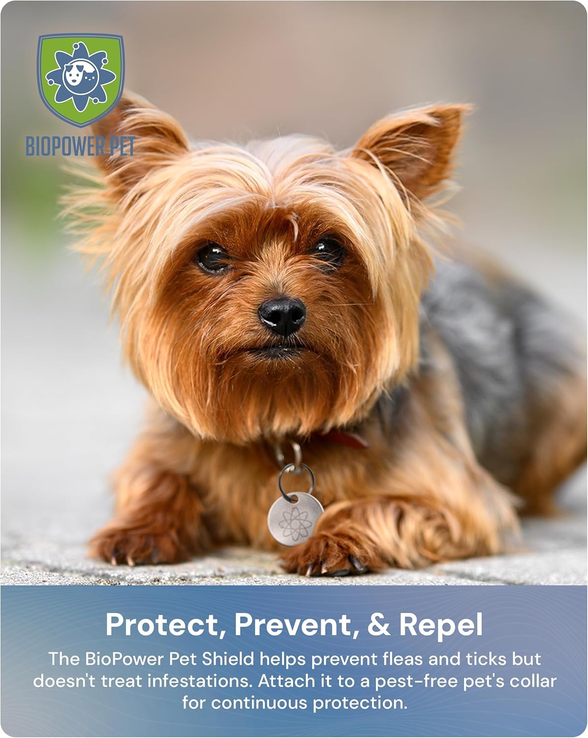 Natural Flea & Tick Repellent Collar Tag for Dogs & Cats Stainless Steel 2 Pack L11848