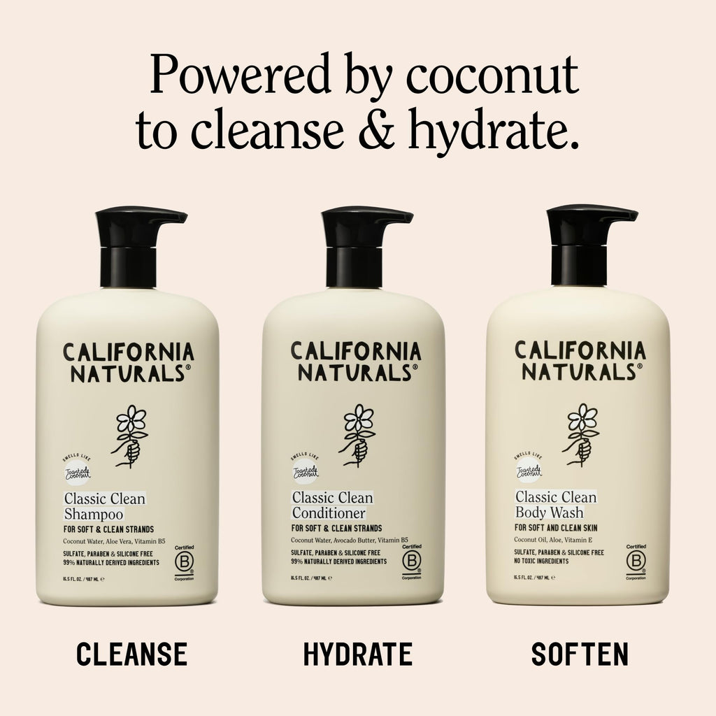 Toasted Coconut Shampoo Conditioner Set, Vegan, Sulfate Free, 20 Fl Oz C4765