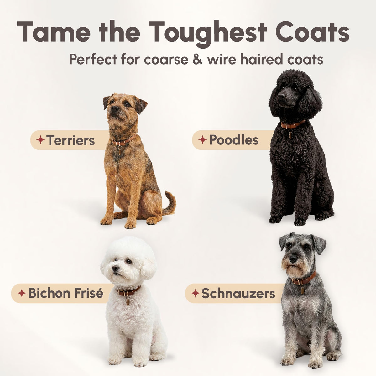 4-in-1 Pet Shampoo 1.1 Gallon X48916