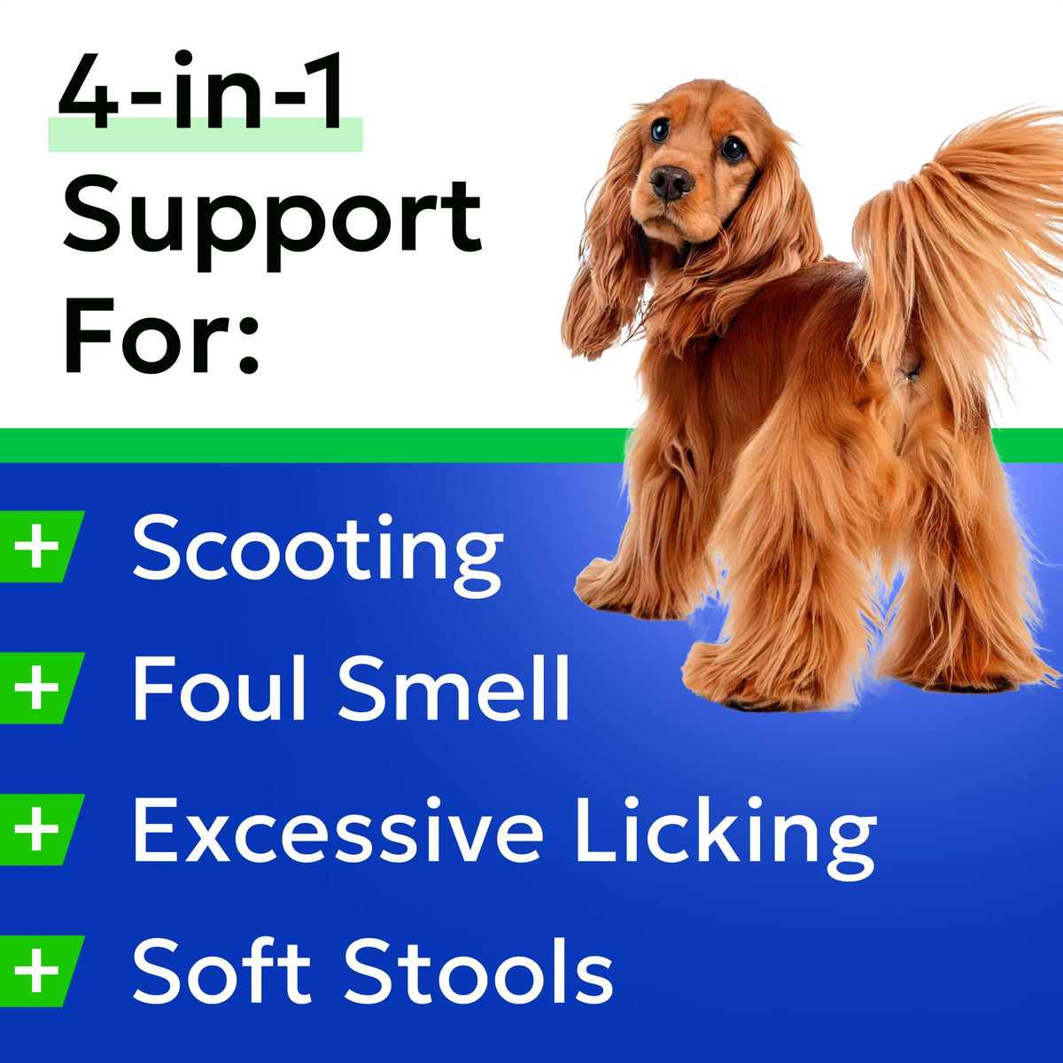 Omega 3 Fish Oil Dog Treats Bundle N319417