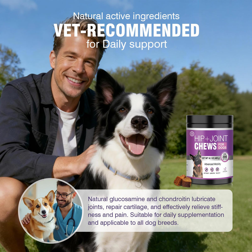 Glucosamine Chondroitin MSM Joint Supplement for Dogs 200 ct U953