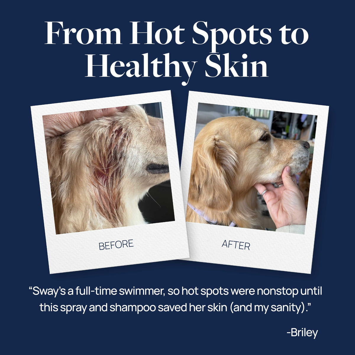 Hot Spot & Itch Relief Pet Shampoo, 16 oz O80211