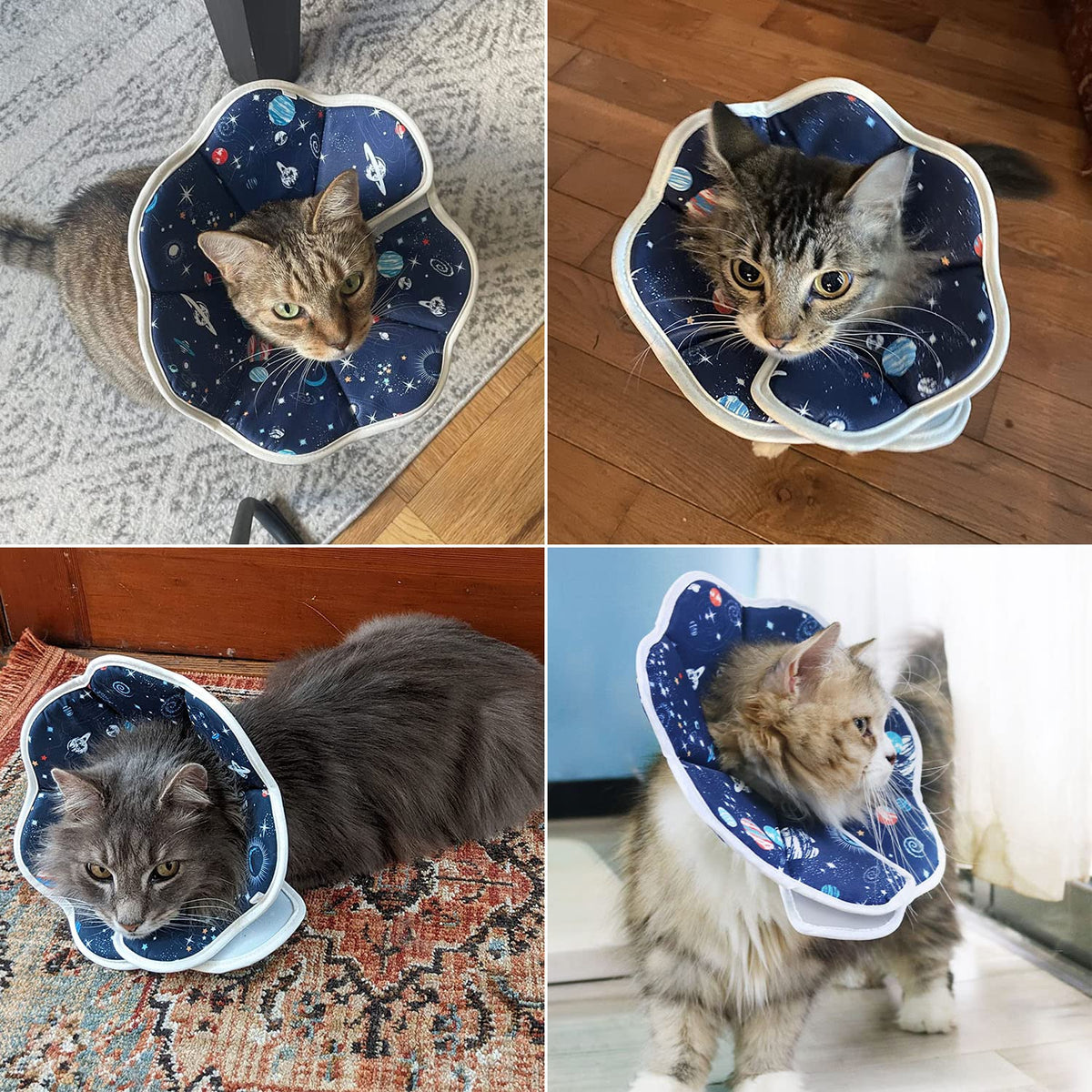 Adjustable Soft Cat Recovery Collar C966