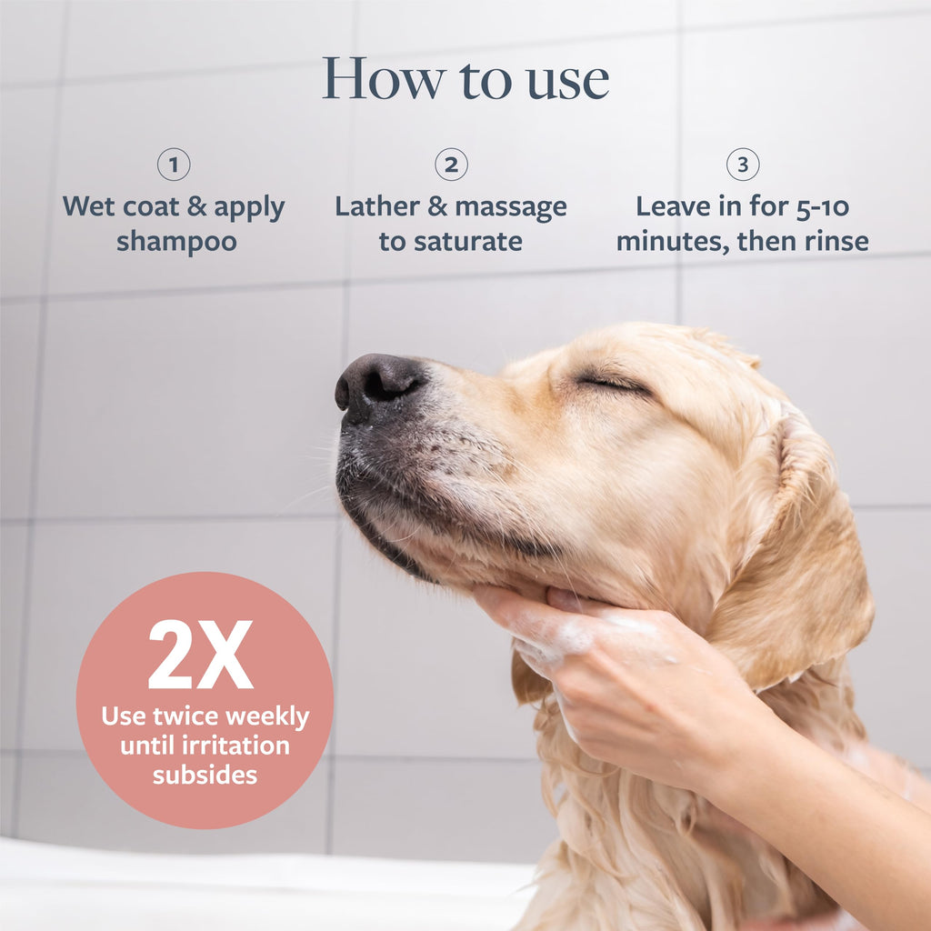 Hot Spot & Itch Relief Pet Shampoo, 16 oz O80211
