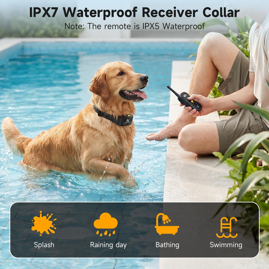 Dog Training Collar IPX7 Waterproof F9175