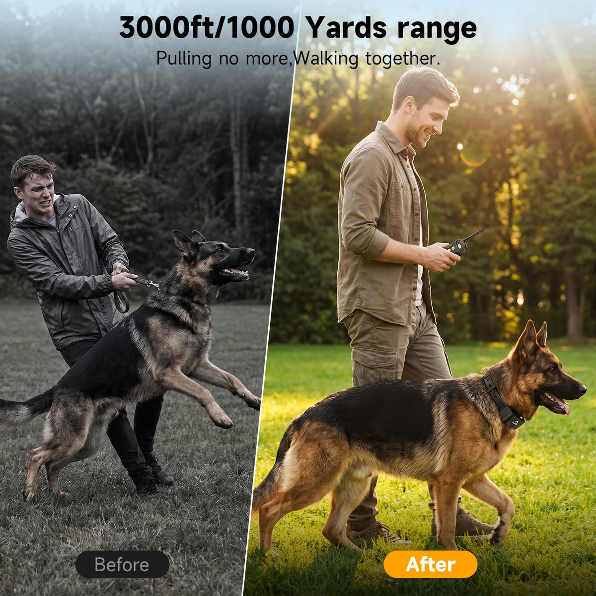 Dog Training Collar IPX7 Waterproof F9175