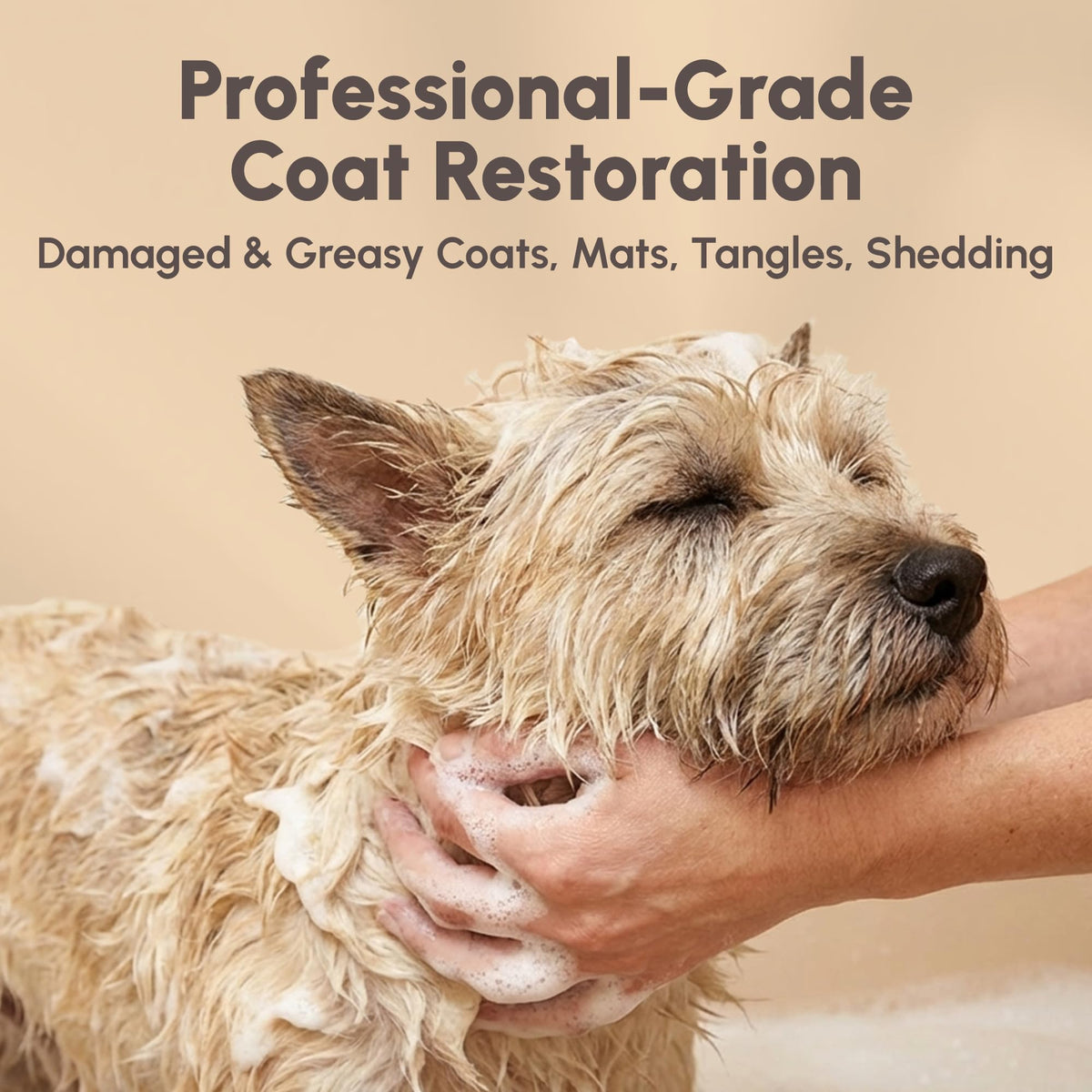 4-in-1 Pet Shampoo 1.1 Gallon X48916