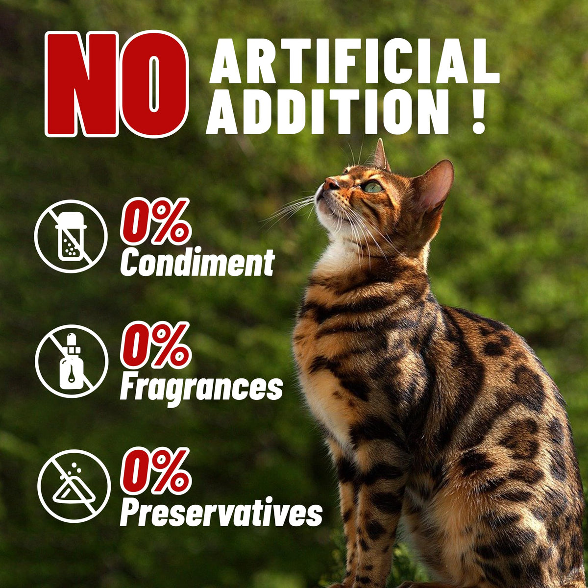 Freeze Dried Chicken Breast Cat & Dog Treats O248