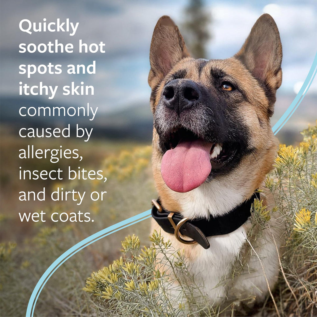 Hot Spot & Itch Relief Pet Shampoo, 16 oz O80211